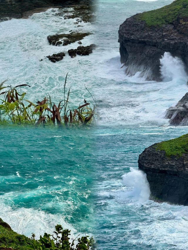 美國「可愛島」旅行攻略。