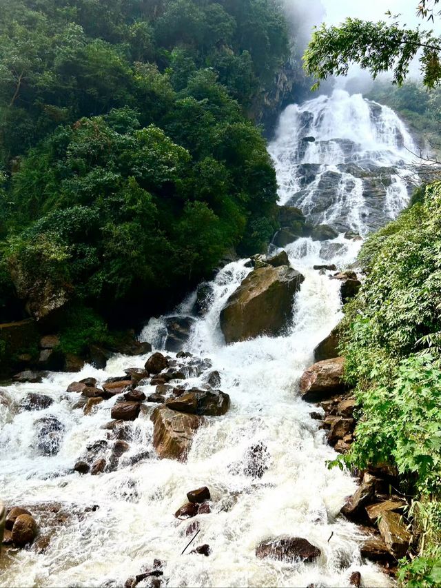 "爆紅"的哀牢山，到底是什麼山？