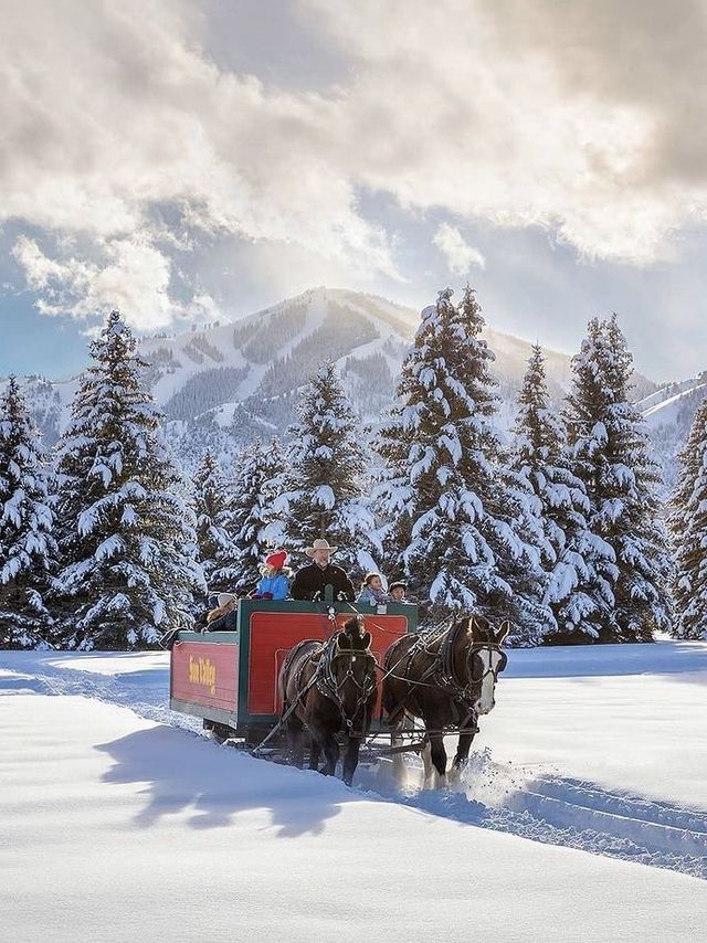 Winter Wonderland in Yellowstone National Park: A 5-Day Detailed Guide!