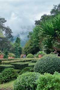 清邁親子遊 依山而建的詩麗吉皇后植物園妥妥的大氧吧