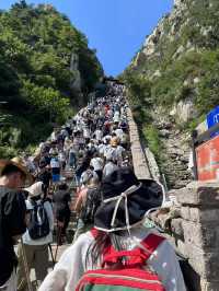 七日遊山東必去景點打卡