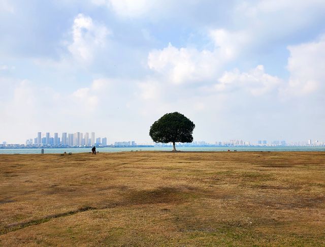 冬日下的蘇州獨墅湖公園