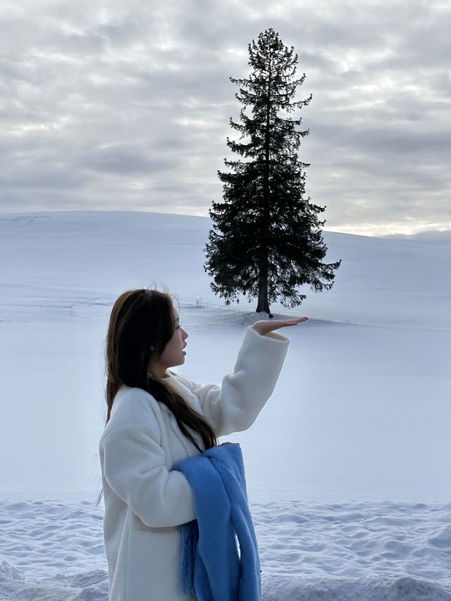 北海道旅居三年後的冬季出遊攻略🌨️