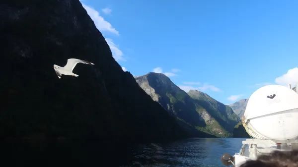 Discover the Beauty of Norway's Fjords in Summer