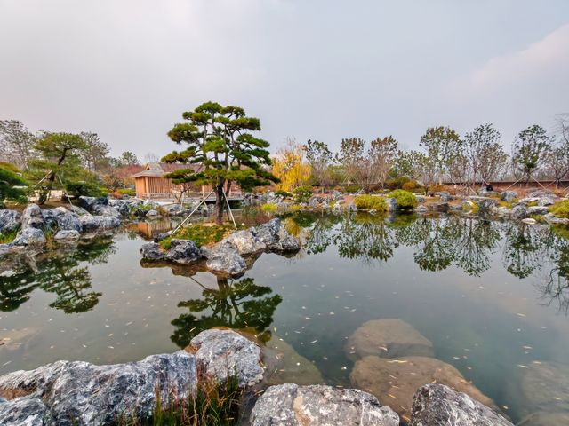 世界花藝園之禪境園和岩石花園