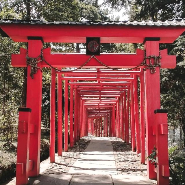 Sakura Hills Tawangmangu