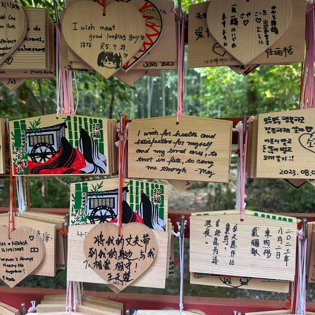 Lose yourself in a magical bamboo forest 