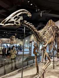 Meet the largest Dinosaur in Chicago 