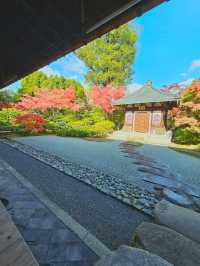 【京都/紅葉スポット】京都最古の禅寺で静かな時の流れを感じて