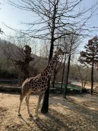 愛寶樂園．進入童話世界