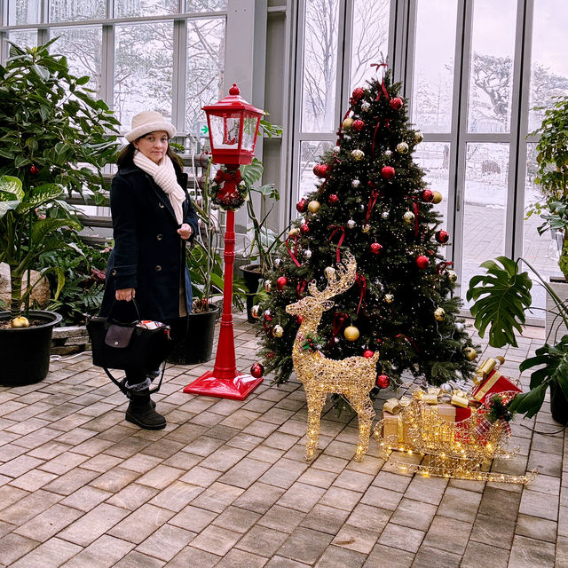 A Winter Wonderland at Gapyeong Begonia Bird Park!