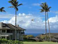 卡普魯亞茂宜島麗思卡爾頓酒店 The Ritz-Carlton Maui, Kapalua