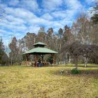 Alpine Serenity: Strolling Through Myrtleford