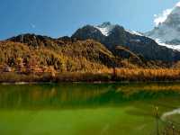 Best Autumn Viewing Experience 2/3 [Xiannairi Snow Mountain, Yading Nature Reserve]