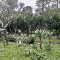 綠意盎然的城市秘境：臺北植物園遊記