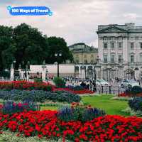 Blossoming London! 🇬🇧