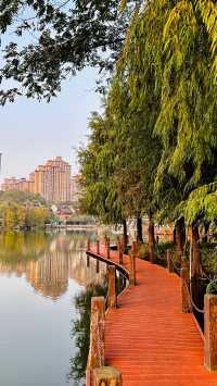 璧山秀湖公園探秘：免費4A級景區，一年四季花常開