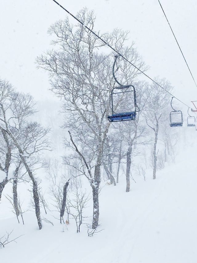 二世谷滑雪推薦——比羅夫滑雪場