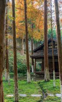 雲舍村