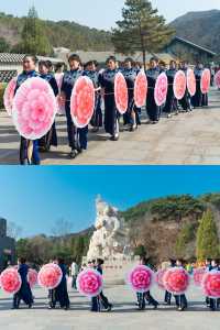 金山嶺長城｜杏花節｜淋漓盡致的中式美學