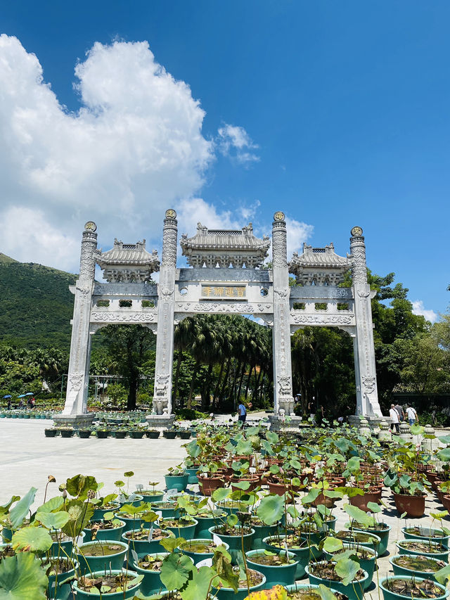 Tian Tan Buddha ⭐️ Iconic Big Buddha in Ngong Ping 🇭🇰