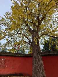 金堂雲頂山行山，成都｜行山好去處。