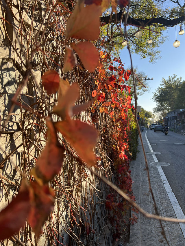 今日古剎，承恩寺。