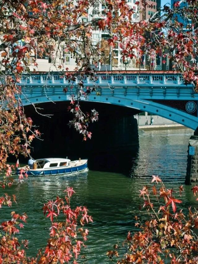 The Yarra River of Cat Ben flows✨♥🤩