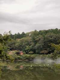 Explore Moomin Valley Park in Japan