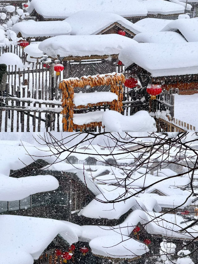 猜猜這是哪！不是挪威是中國雪鄉！像童話故事一樣太美麗啊