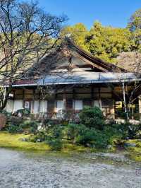 日本·京都高雄西明寺