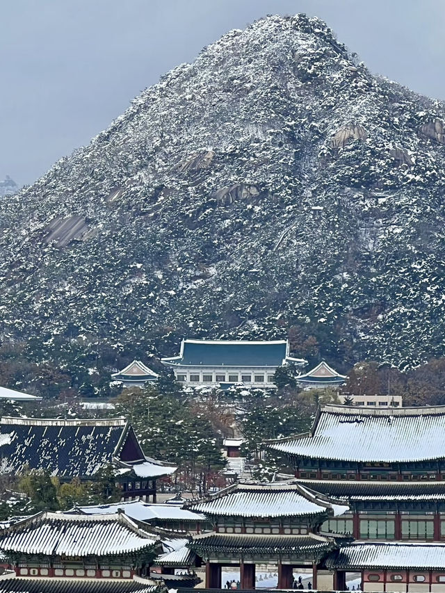 時光之旅：首爾歷史博物館的文化探索