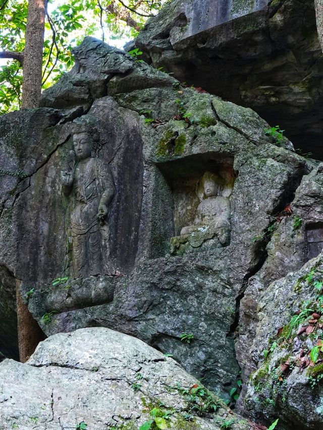 上海-蘇州-杭州5日遊 玩轉江南不踩坑