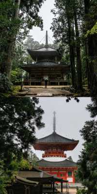 高野山  | 日本最最最神聖的地方！