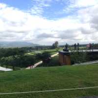 Scenic Tea Plantation in Chiangrai