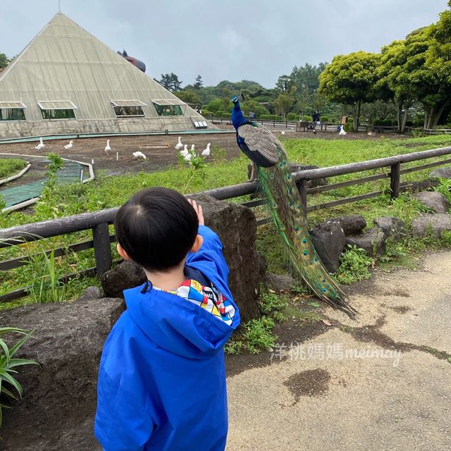 伊豆仙人掌動物園🌵