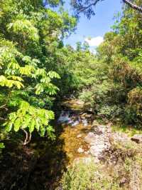 Daintree National Park