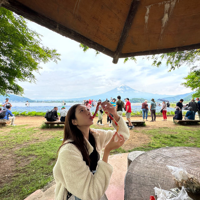 被花包圍的富士山