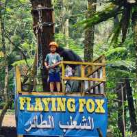 Adventure Paradise: Curug Cilember Delivers Fun for the Whole Family!