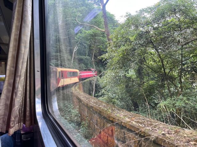 阿里山林鐵小火車 嘉義旅遊 阿里山交通