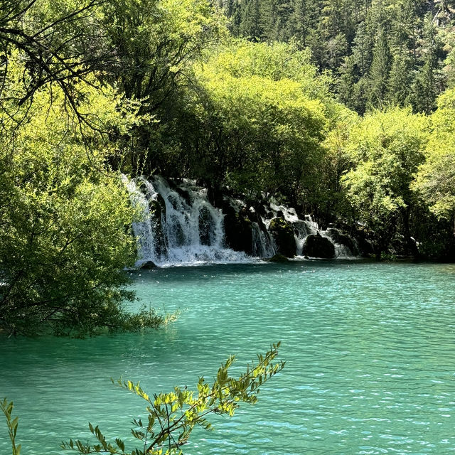 Must-Visit Wonderland: Jiuzhaigou Valley!