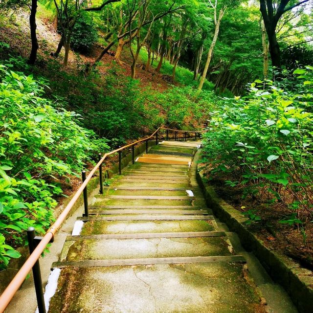 神戶布引香草園