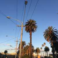 Golden Horizons: St Kilda Beach at Sunset