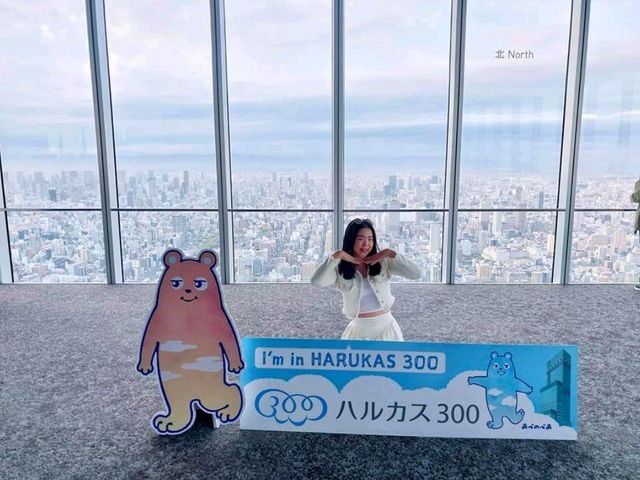 Harukus 300