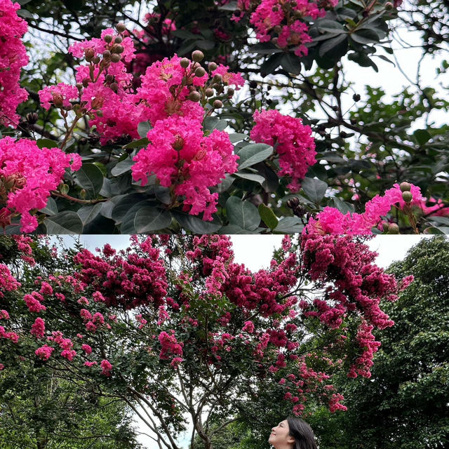 เมืองโบราณกวนตู้ (Guandu Old Town) คุณหมิง🇨🇳