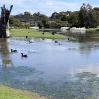 Unforgettable Encounters: Moonlit Sanctuary & Phillip Island Penguins!