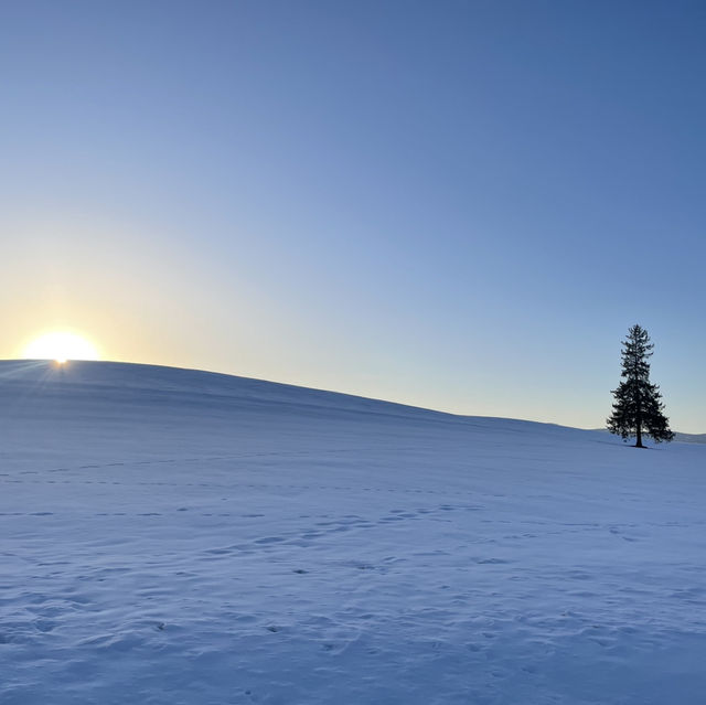 เมือง Biei ใน Hokkaido 