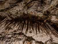 Exploring The Karst of Postojna Cave@Slovenia