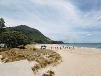 Scenic Coastal Walk: Mount Maunganui Base Hiking Trail