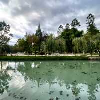 เดินเล่นยามเย็นที่สวนมังกรดำ lijiang 